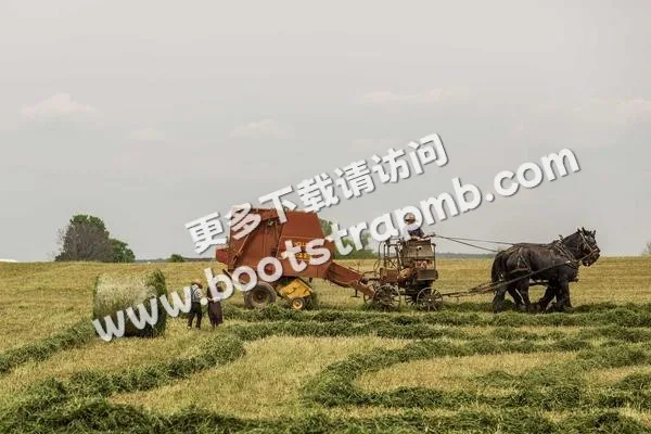 ⊞ Portfolio - 必赢chengruixin